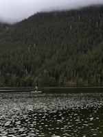 A lone paddle boarder navigates the calm waters of a lake surrounded by dense, lush forest. Mist hovers over the treetops in the distance, creating a serene and tranquil atmosphere.