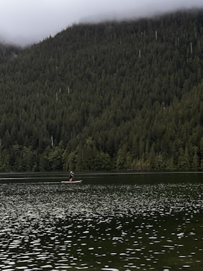 A lone paddle boarder navigates the calm waters of a lake surrounded by dense, lush forest. Mist hovers over the treetops in the distance, creating a serene and tranquil atmosphere.