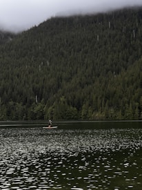 A lone paddle boarder navigates the calm waters of a lake surrounded by dense, lush forest. Mist hovers over the treetops in the distance, creating a serene and tranquil atmosphere.