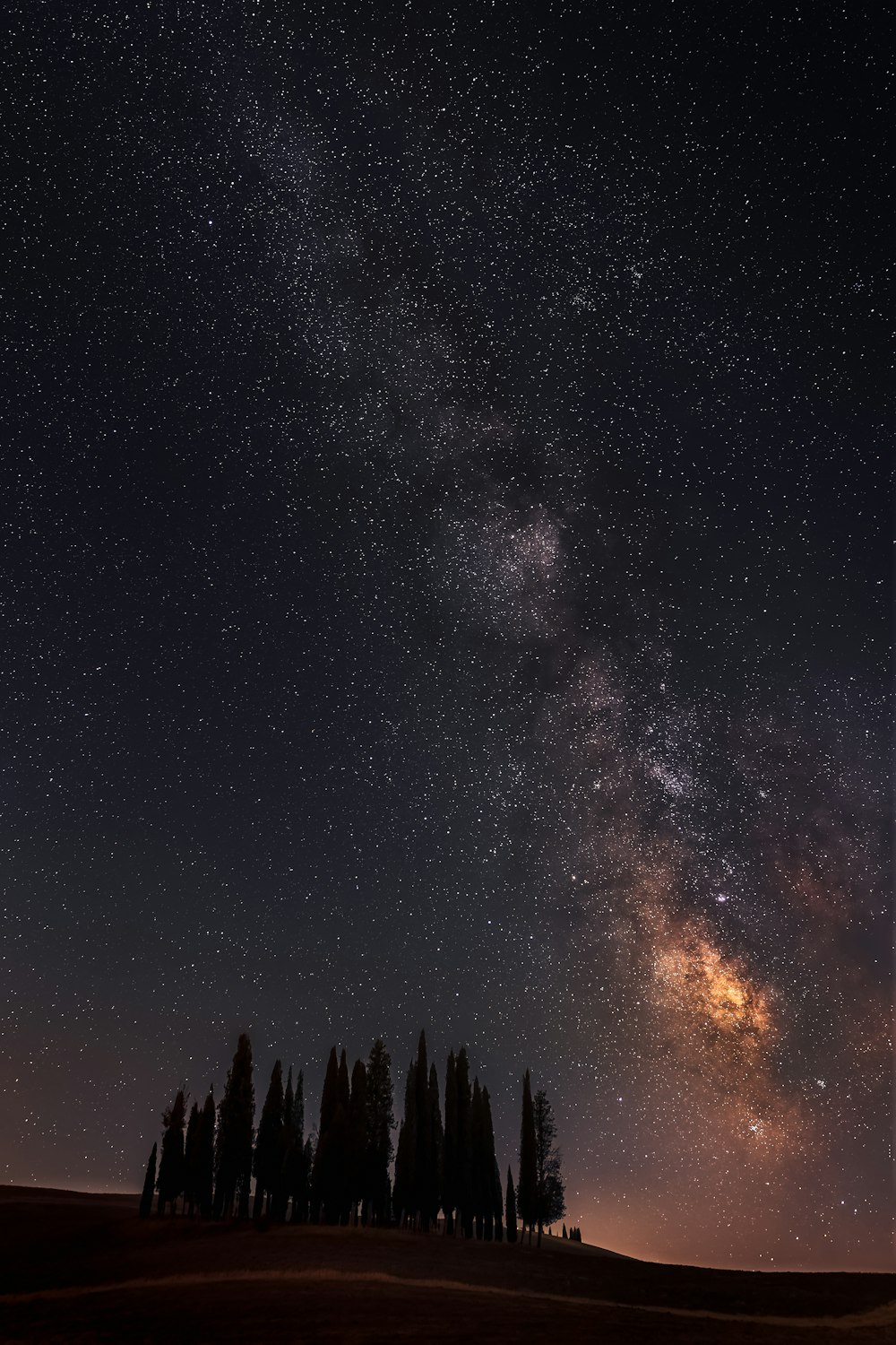 Un cielo nocturno estrellado con árboles