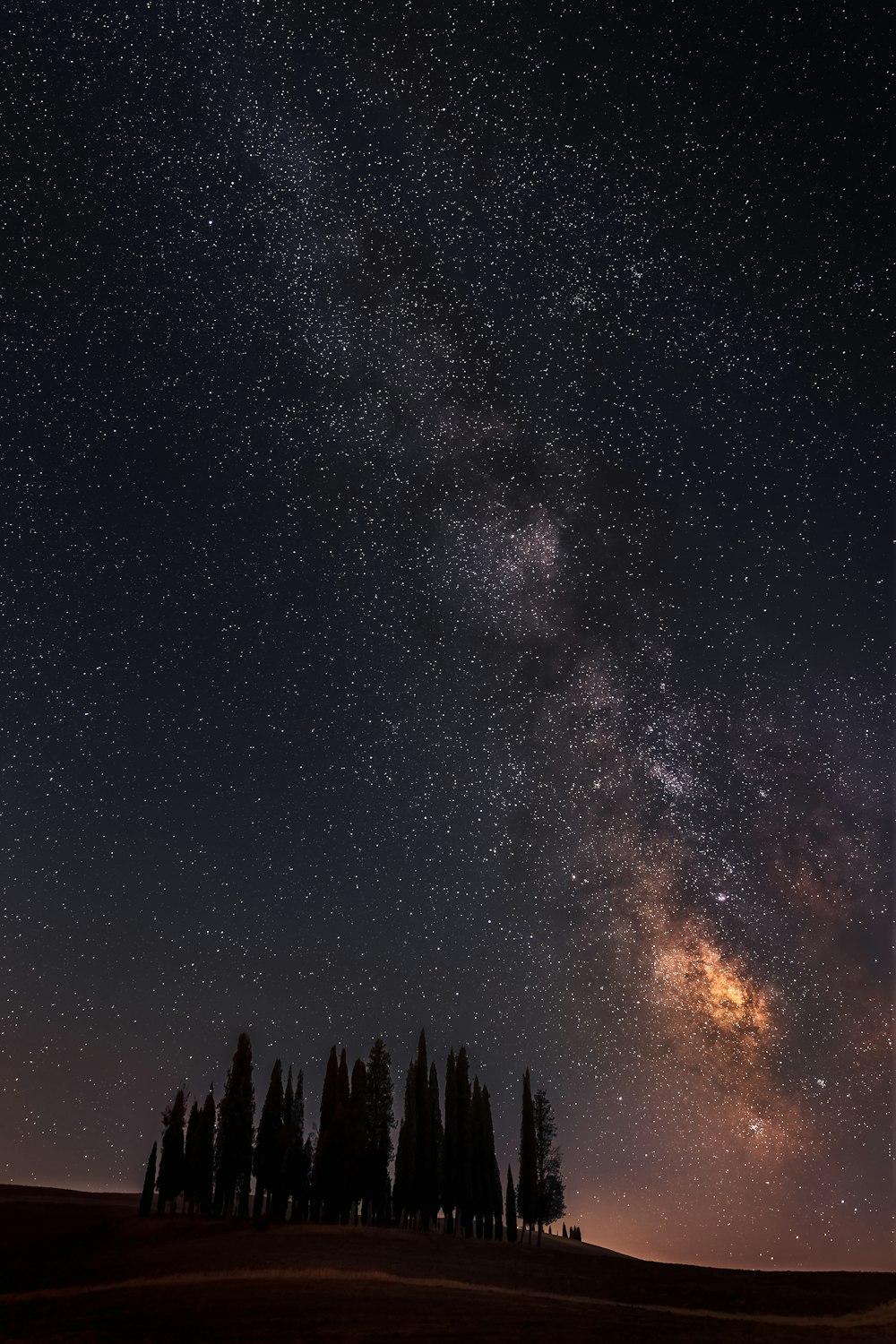 a starry night sky with trees