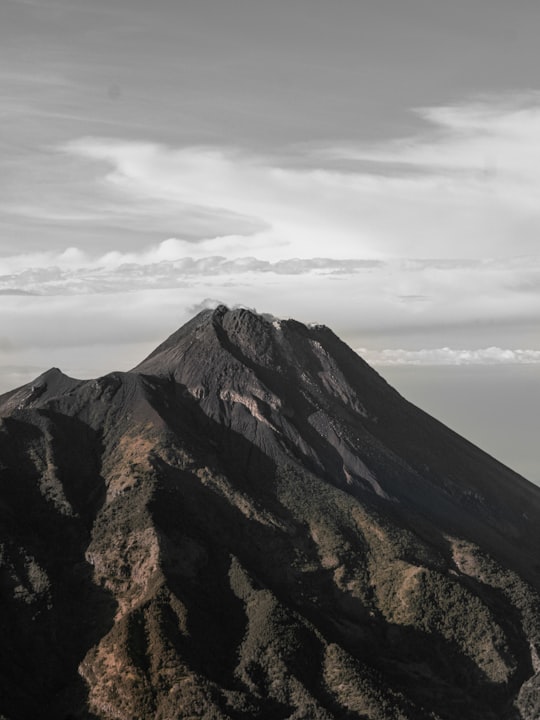 None in Gunung Merbabu Indonesia