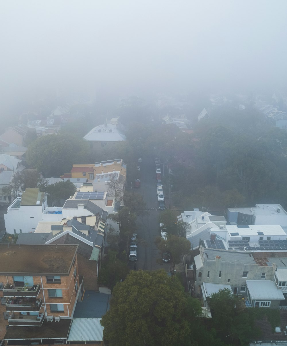 Una ciudad con muchos edificios y árboles