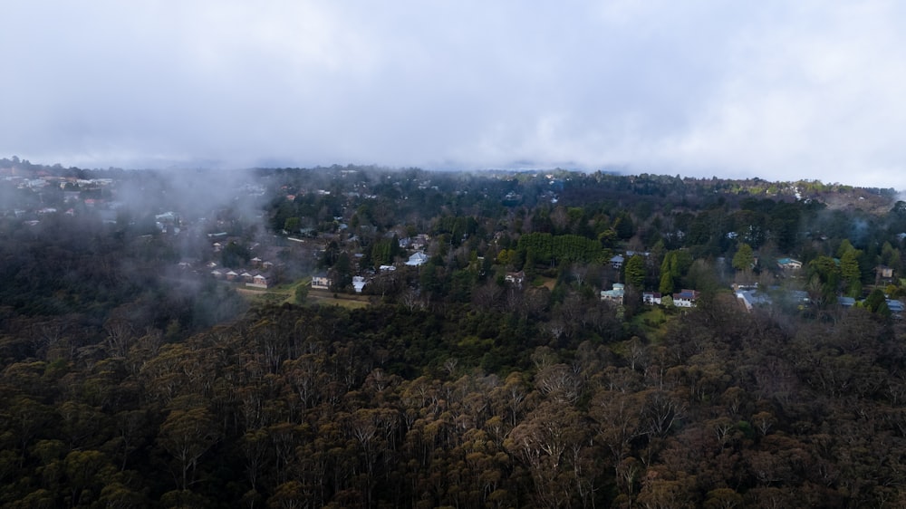 a landscape with trees and houses