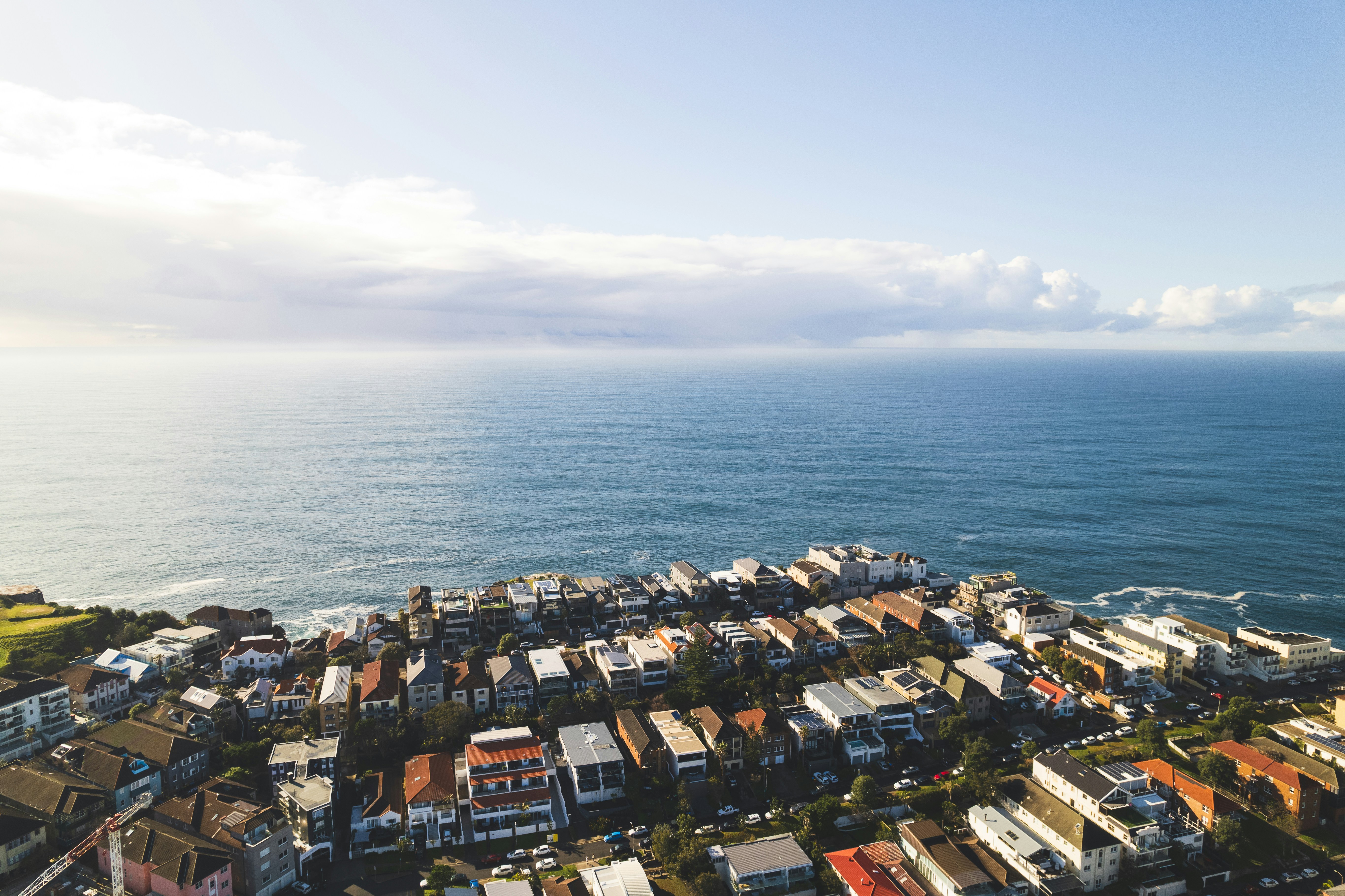 Photo by martin_dav1d