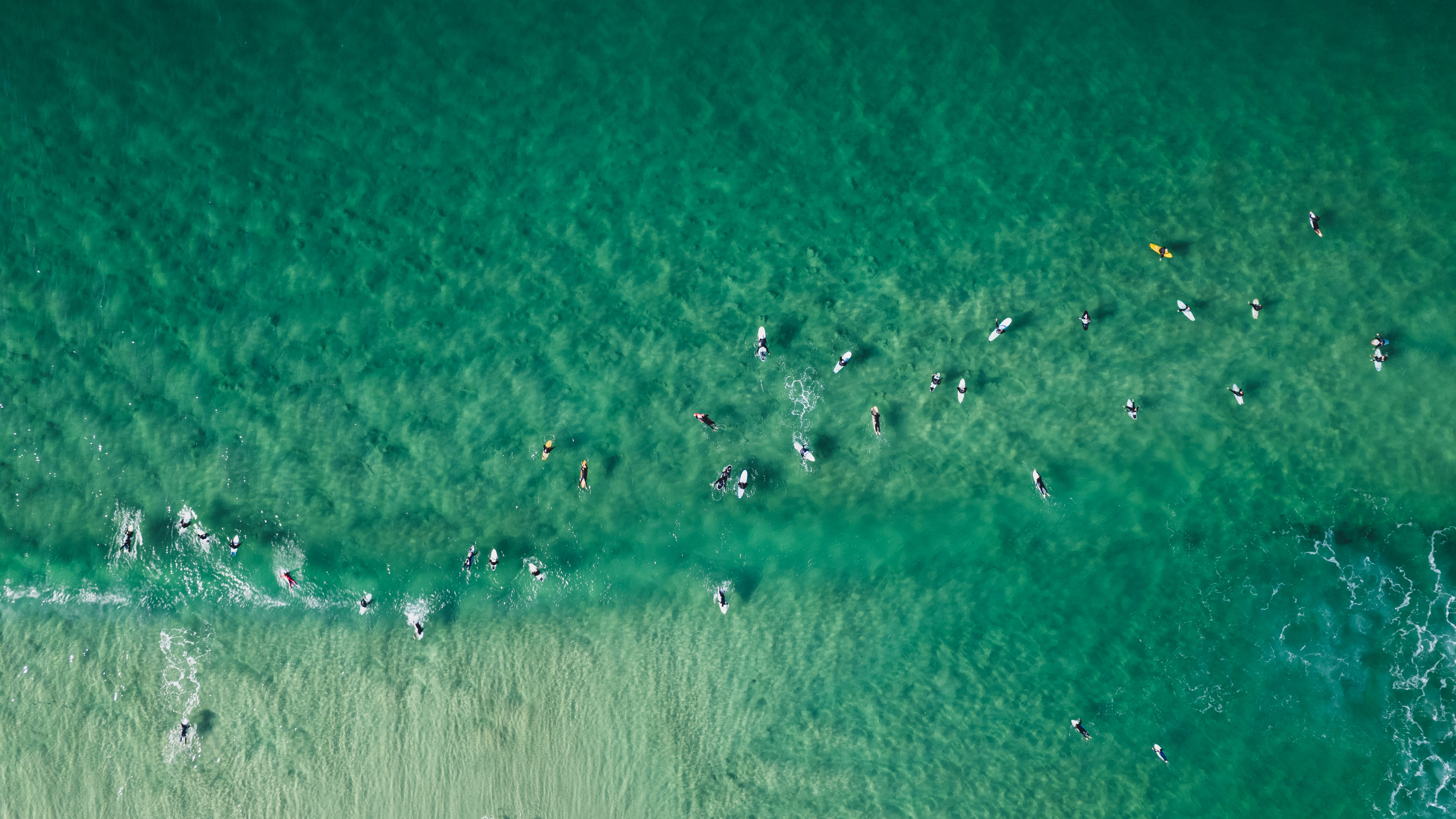 Photo by martin_dav1d