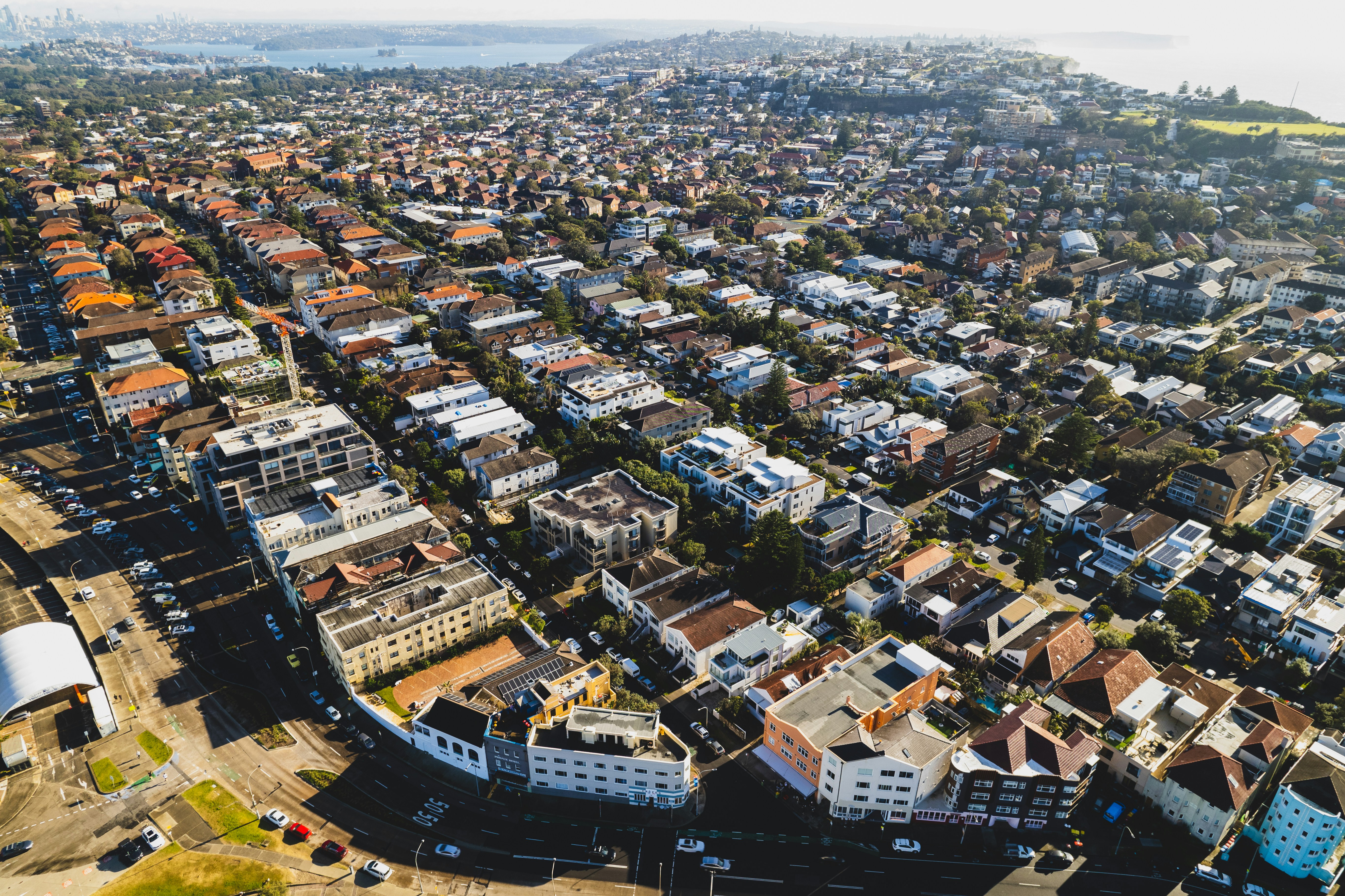 Photo by martin_dav1d