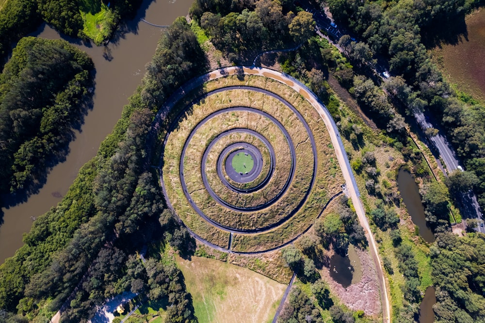 a circular structure surrounded by trees