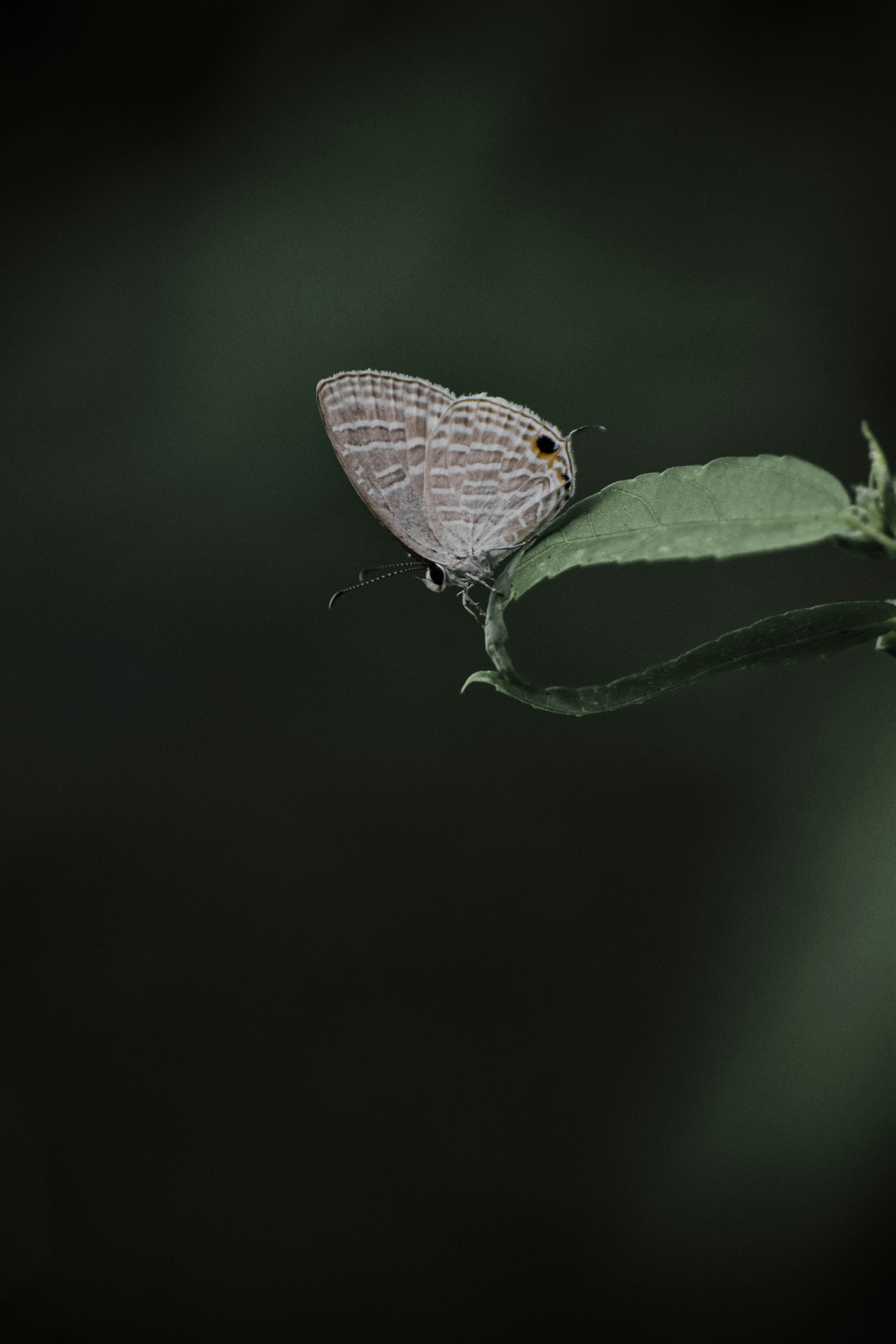 Photo by kamal_anand
