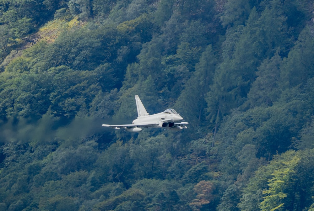 an airplane flying over a forest