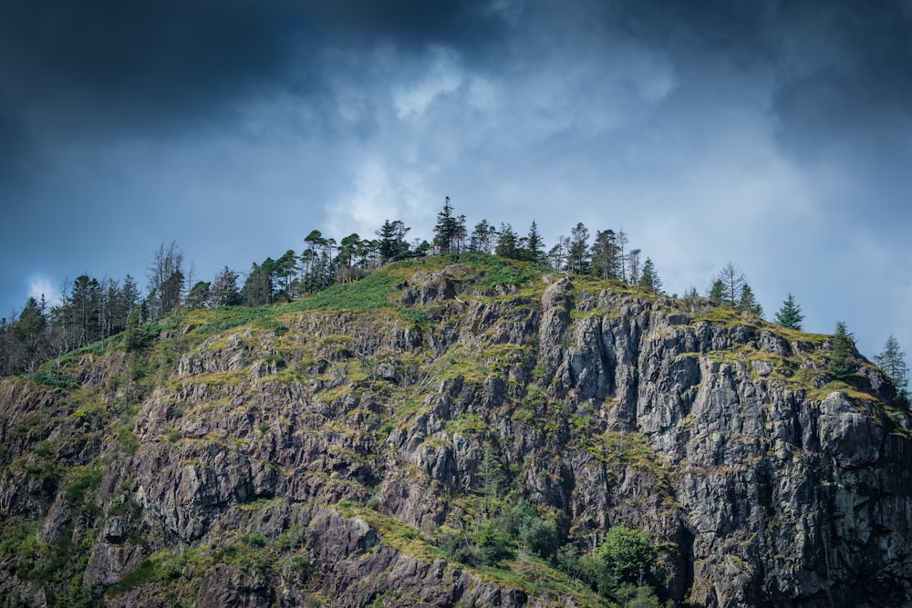 a rocky hillside with trees