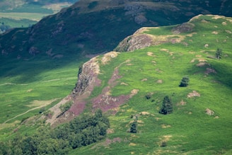 A lush green hillside with rocky outcrops and patches of purple heather. The slope is dotted with small trees and shrubs, set against a backdrop of larger hills.