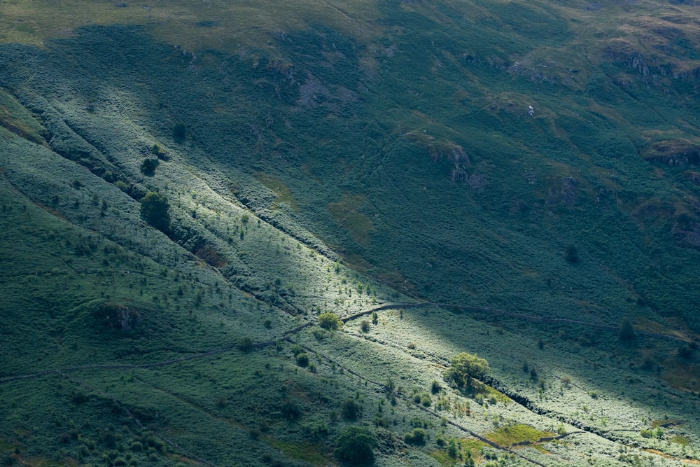 un paesaggio con colline e alberi