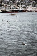 A coastal town with a harbor filled with large ships and a small boat rowing in the foreground. Seagulls fly over the water, and a densely built neighborhood rises in the backdrop, indicating a bustling maritime community.