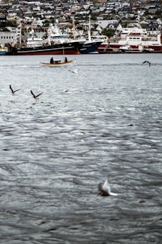 A coastal town with a harbor filled with large ships and a small boat rowing in the foreground. Seagulls fly over the water, and a densely built neighborhood rises in the backdrop, indicating a bustling maritime community.