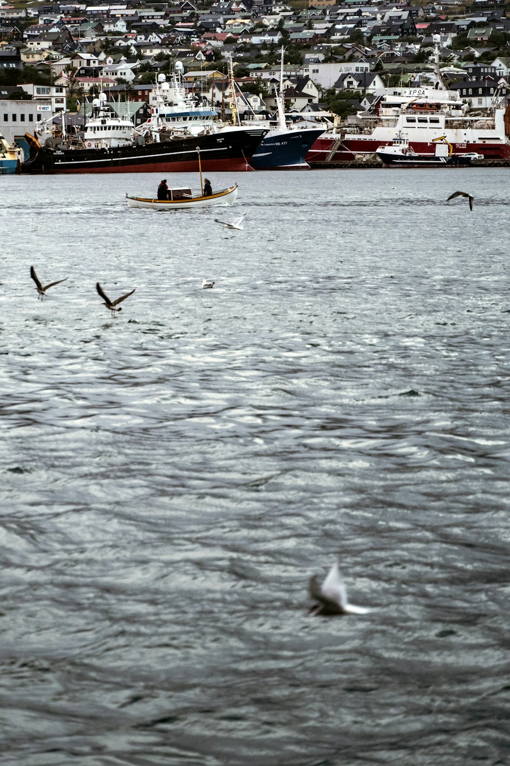 birds flying over water