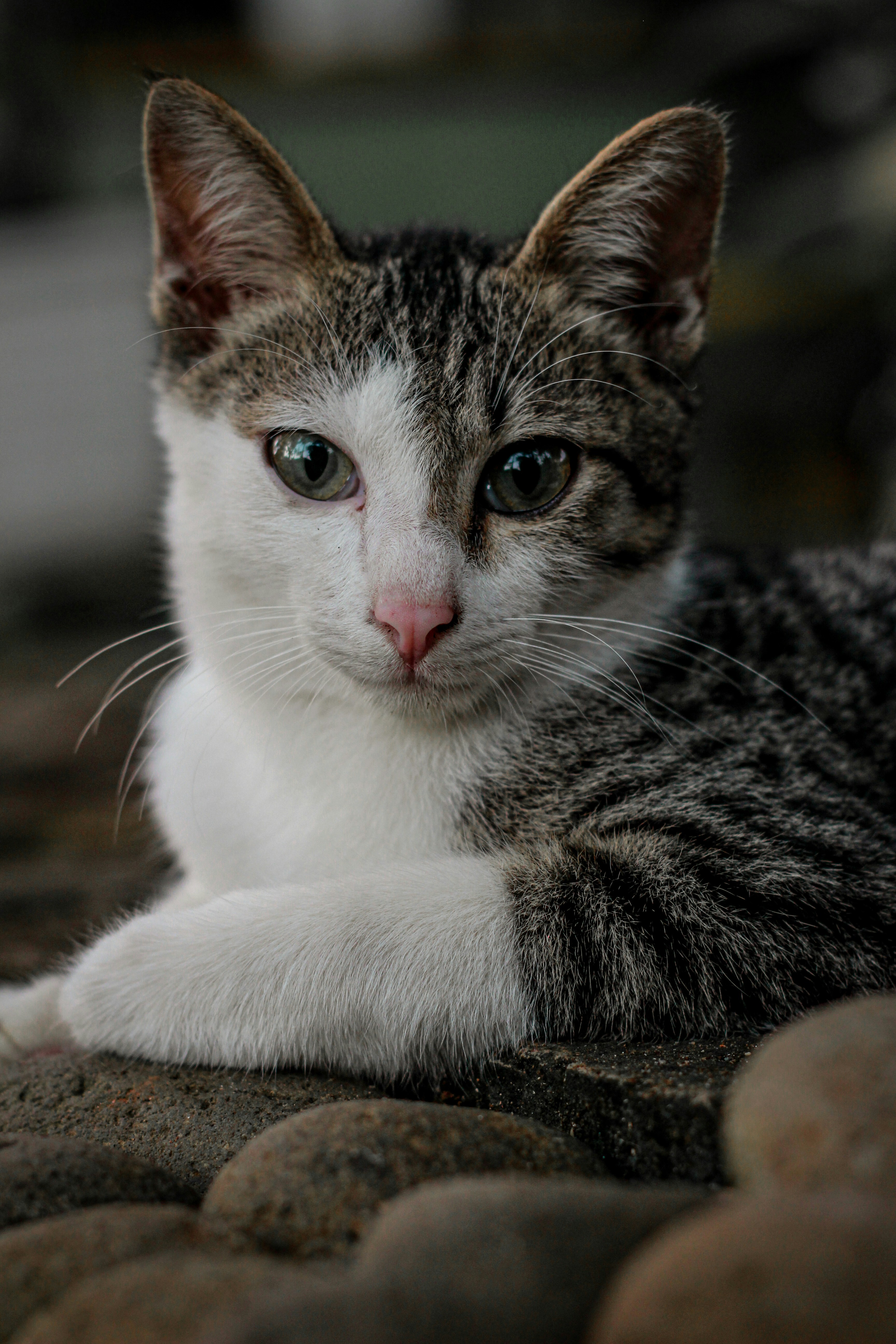 Photo by ilyashikmah1910