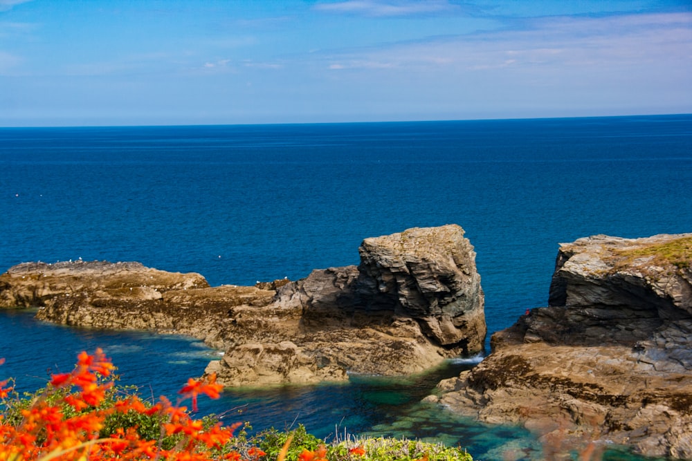 a rocky shoreline with a body of water in the background