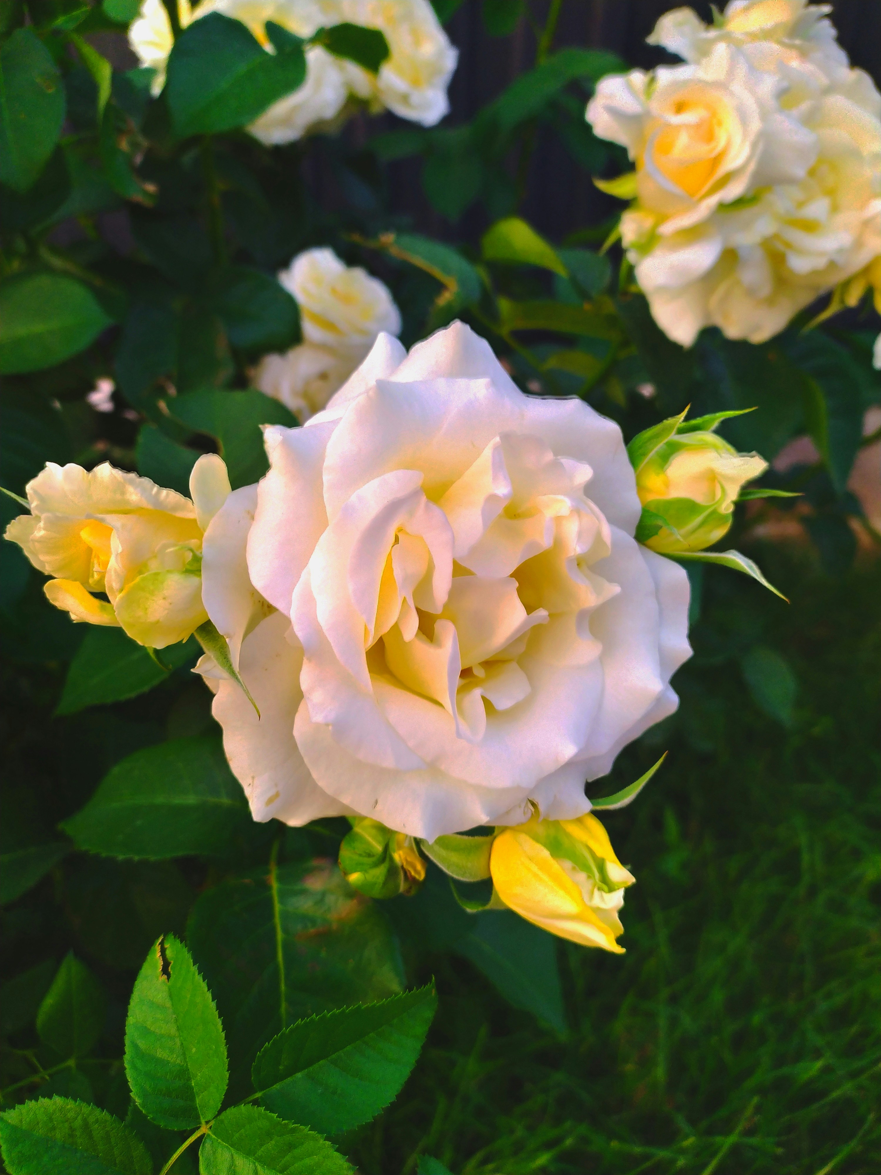 Photo by alikhansabyr