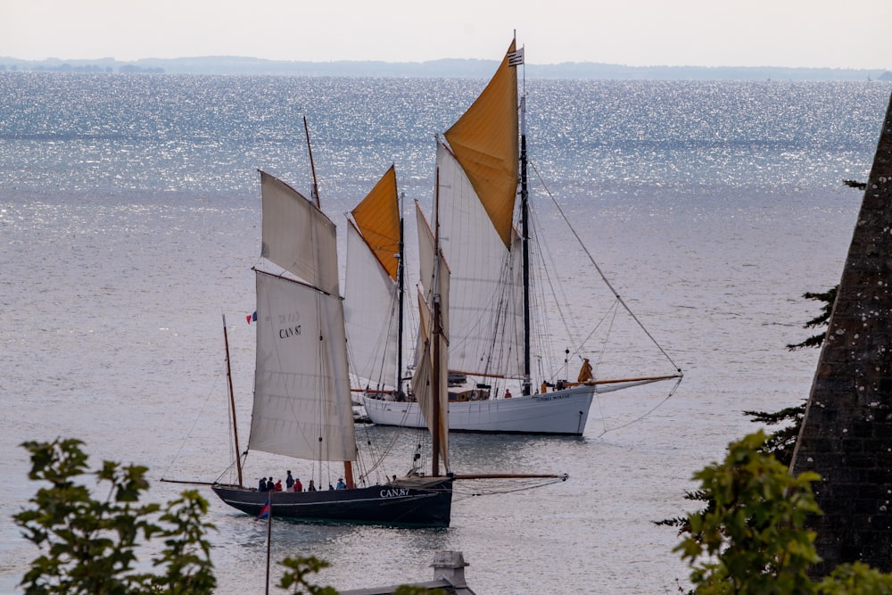 a couple of sailboats on the water