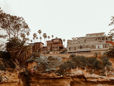 A coastal scene with modern buildings on a cliff, surrounded by lush vegetation and tall palm trees. The architecture features glass and wood elements blending with the natural setting.