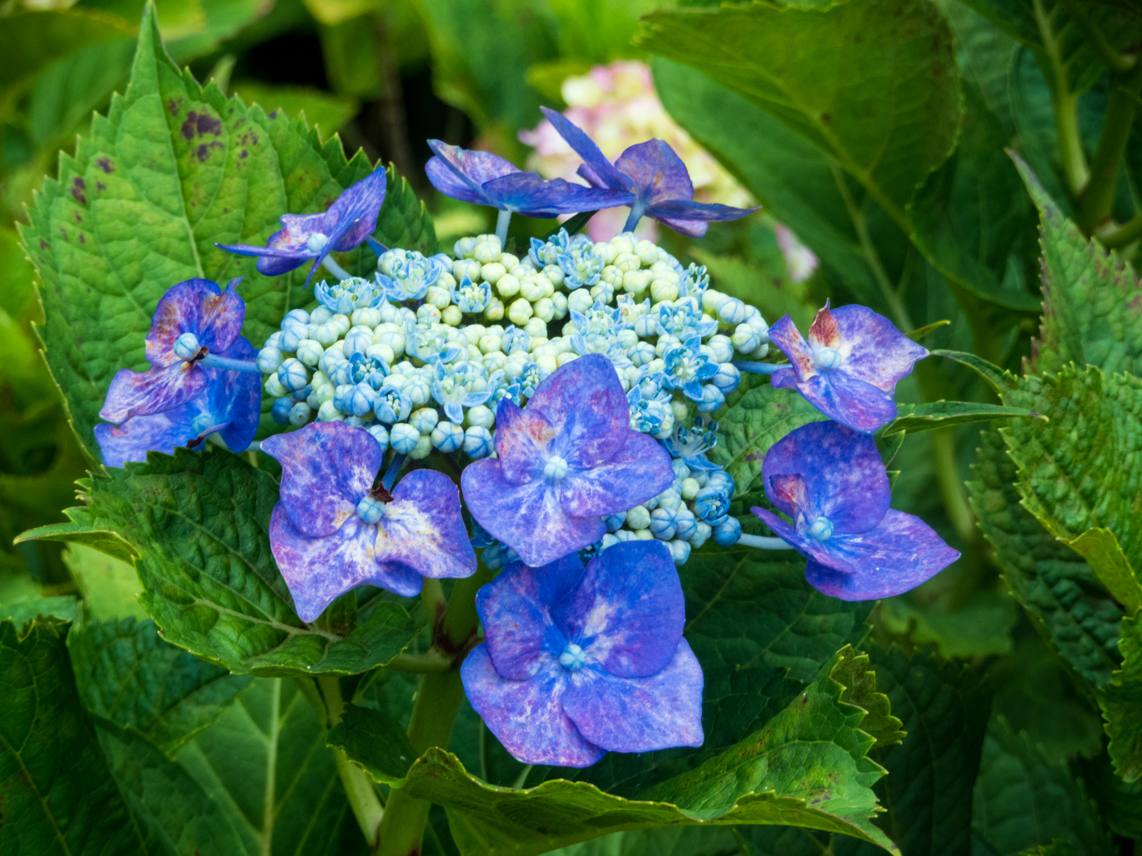 Photo by heppoko_yama