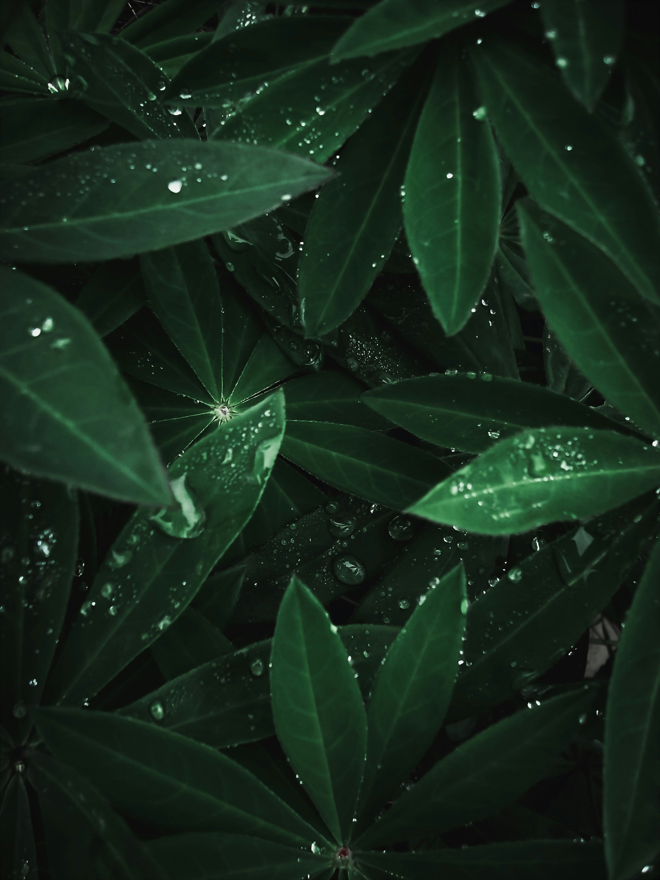 Photo by eugene_golovesov