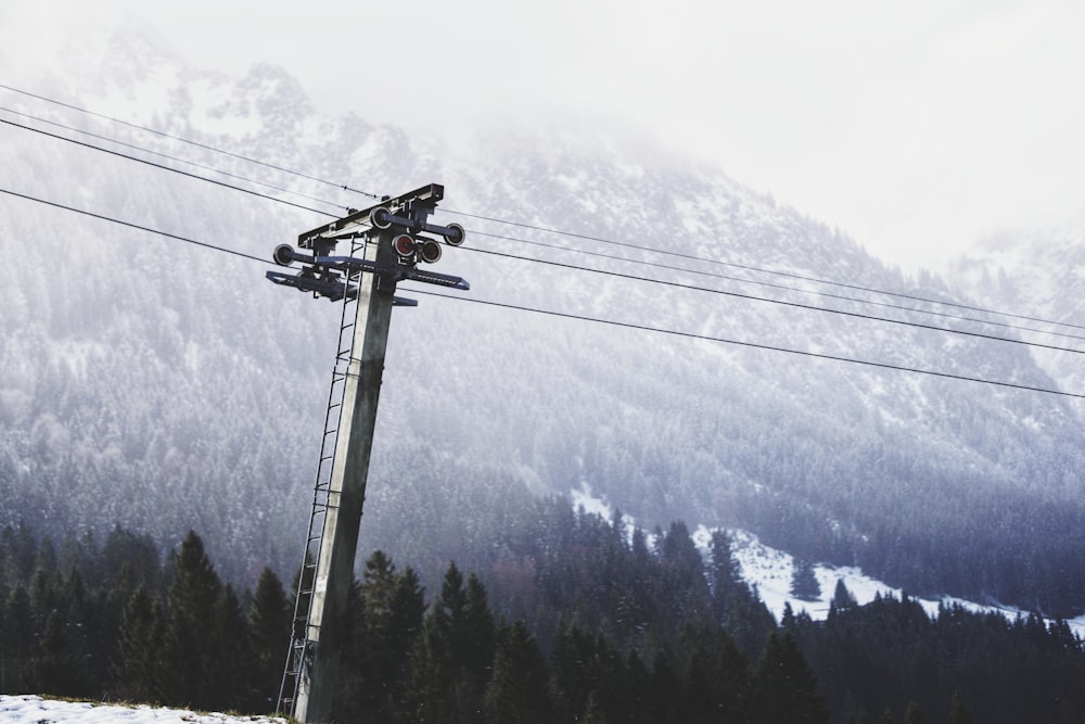 a telephone pole with wires and trees in the background