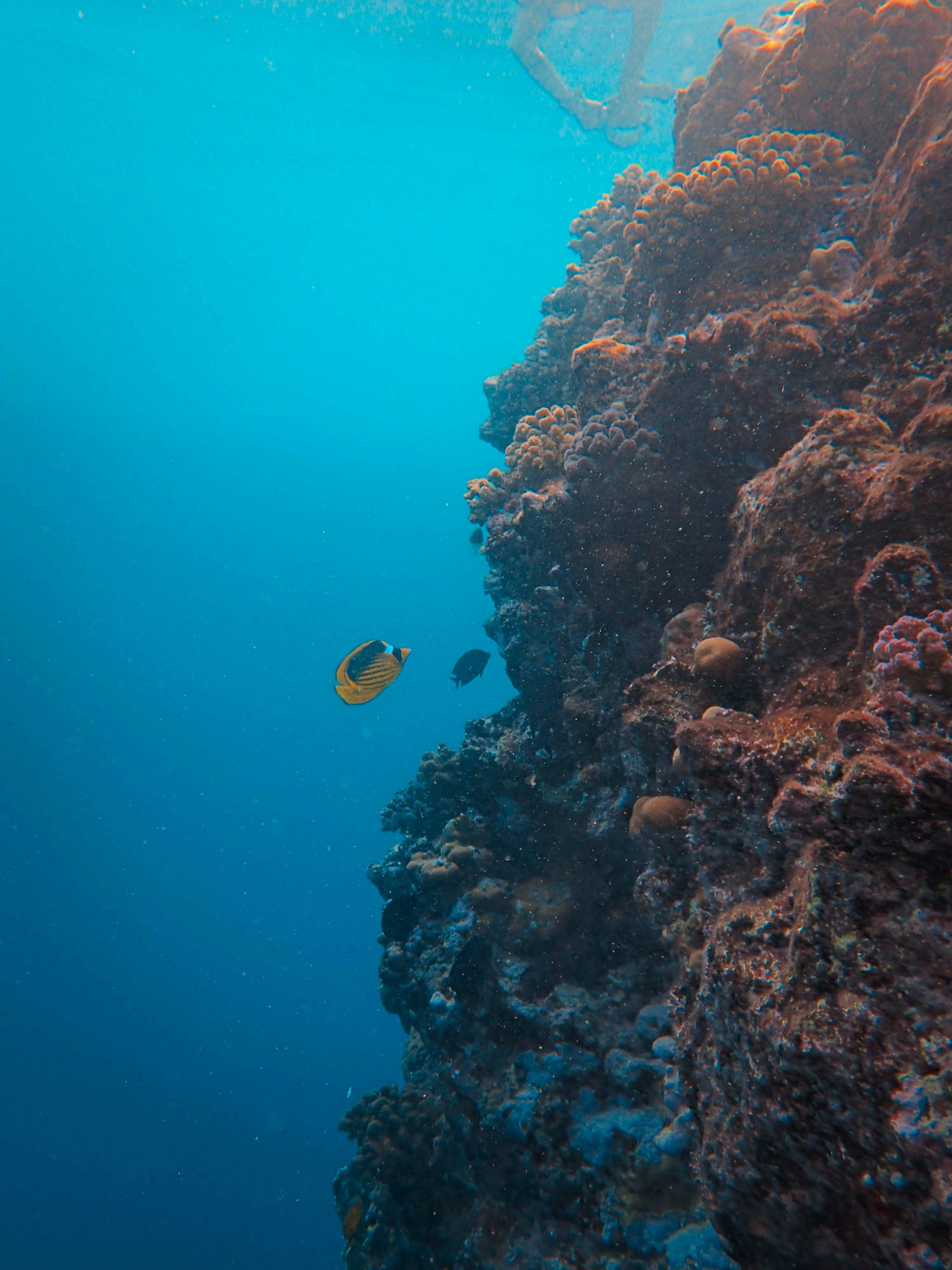 Photo by francesco_ungaro