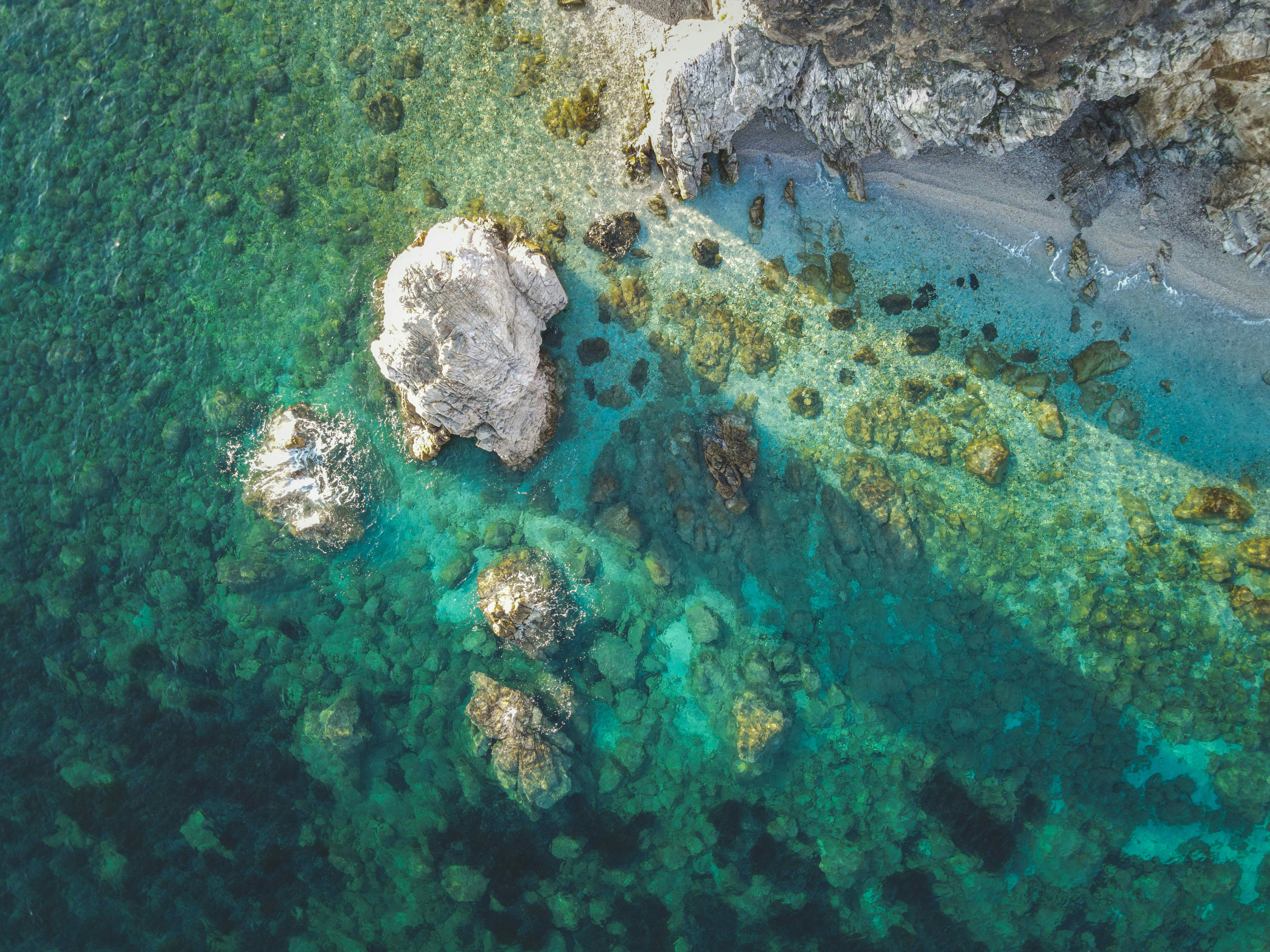 Photo by francesco_ungaro