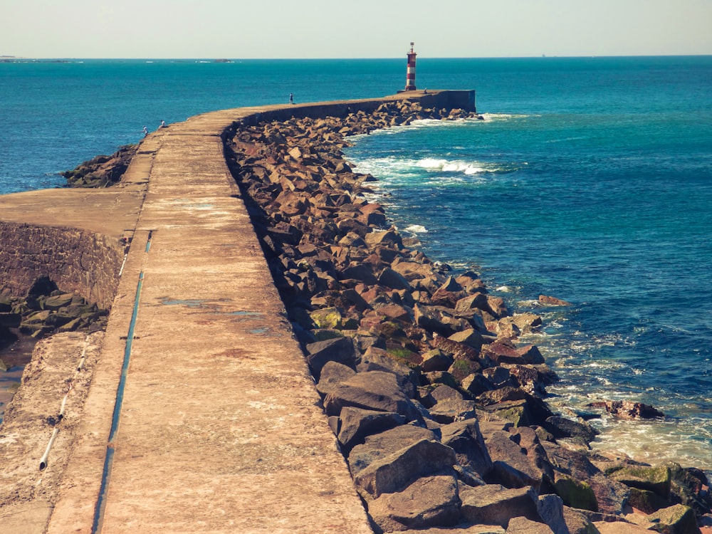 a path next to a body of water