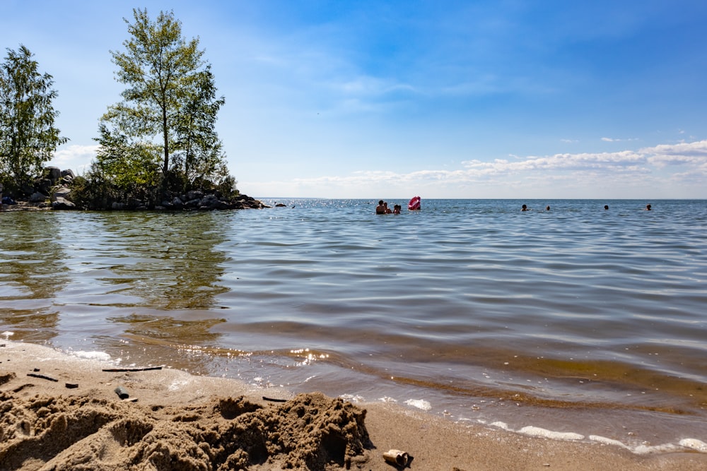 a group of people in the water