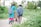 A man and a woman, both carrying backpacks, walk along a pathway surrounded by lush greenery. The woman is wearing a bright blue and pink traditional outfit, while the man is dressed in a blue plaid shirt and brown pants. They are accompanied by a red bicycle, which the man is guiding. The environment is serene with trees and plants on either side.