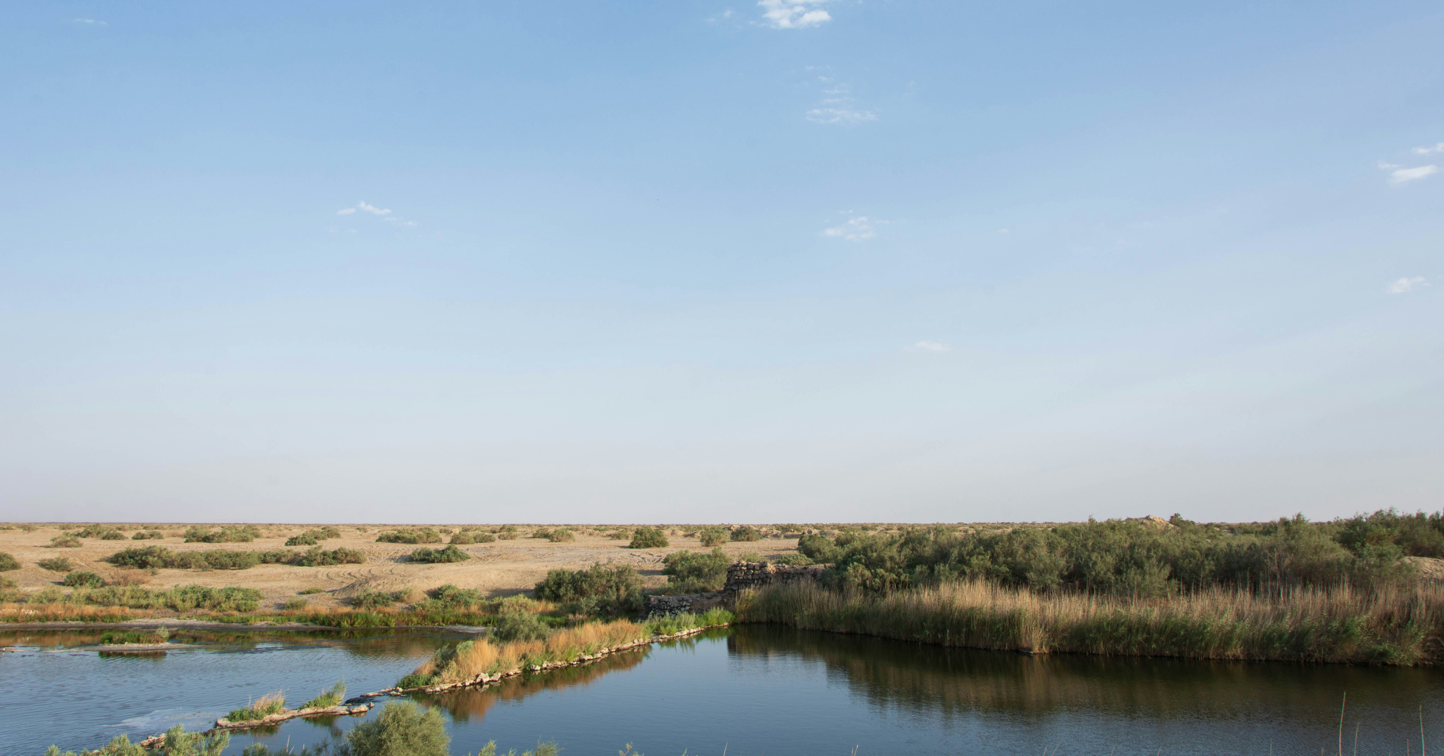 Photo by arshimedess