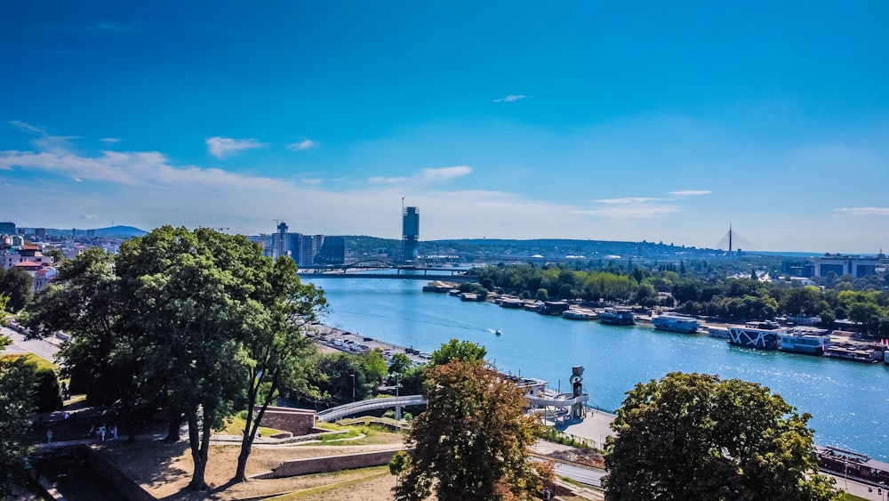 a body of water with boats in it and a city in the background