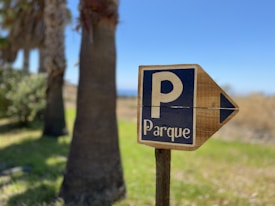 A wooden sign with the letter 'P' and the word 'Parque' indicating parking, mounted on a post against a backdrop of palm trees and clear blue sky.