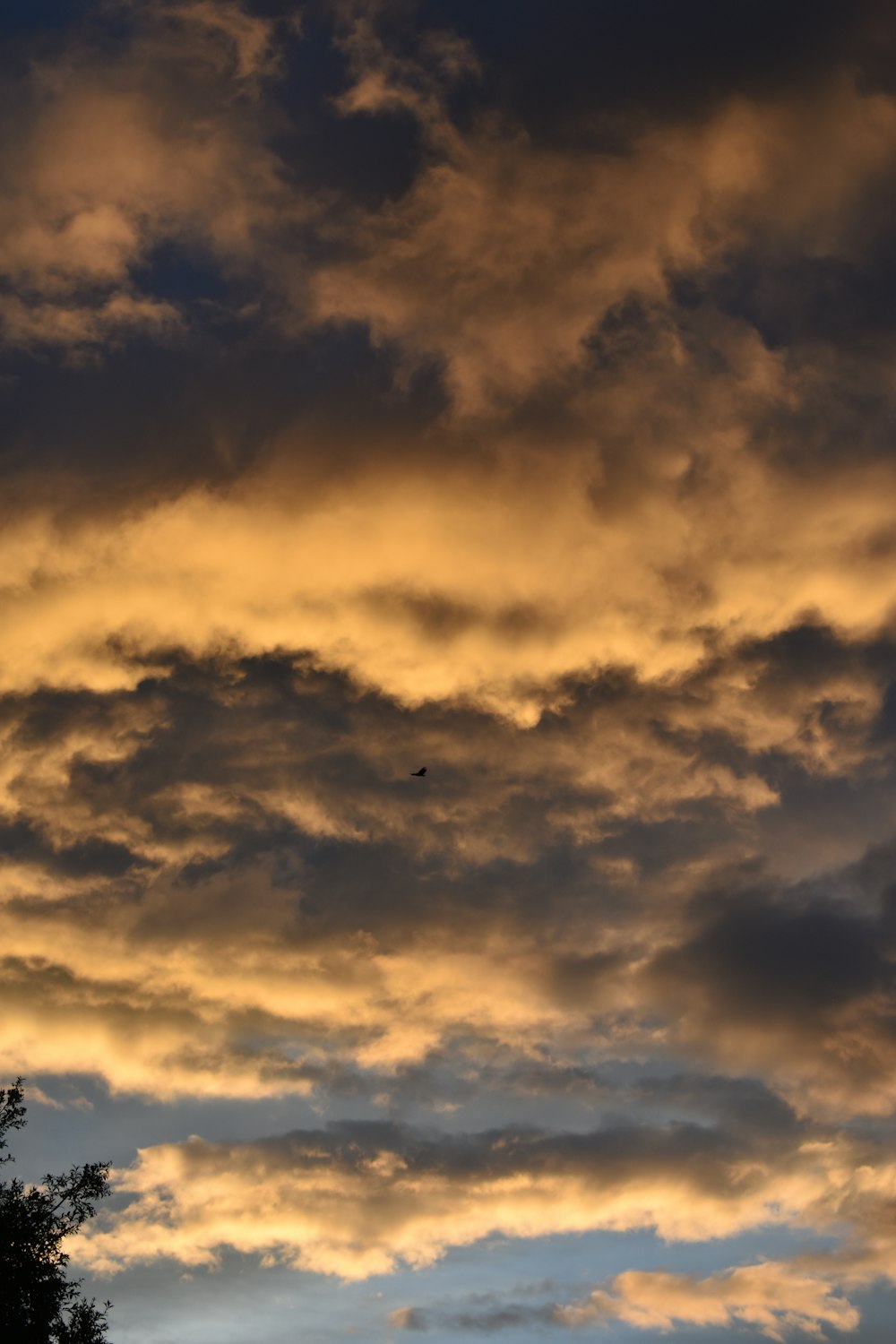 a cloudy sky with a bird flying