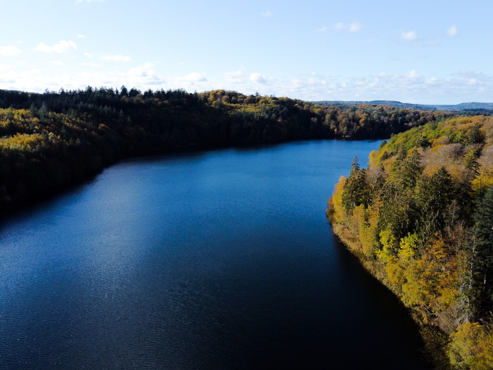 a body of water surrounded by trees