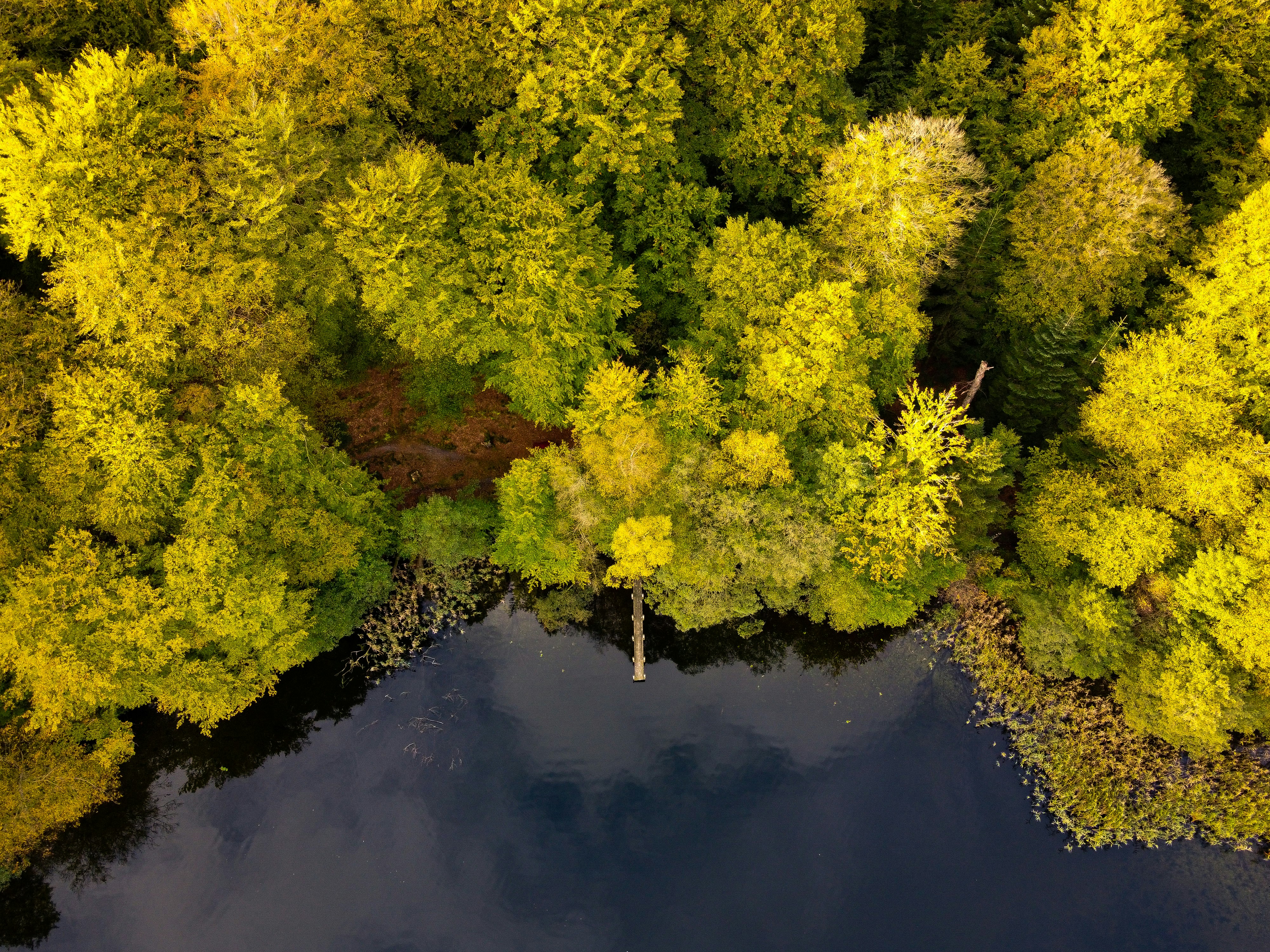 Photo by bjarkerosenbeck