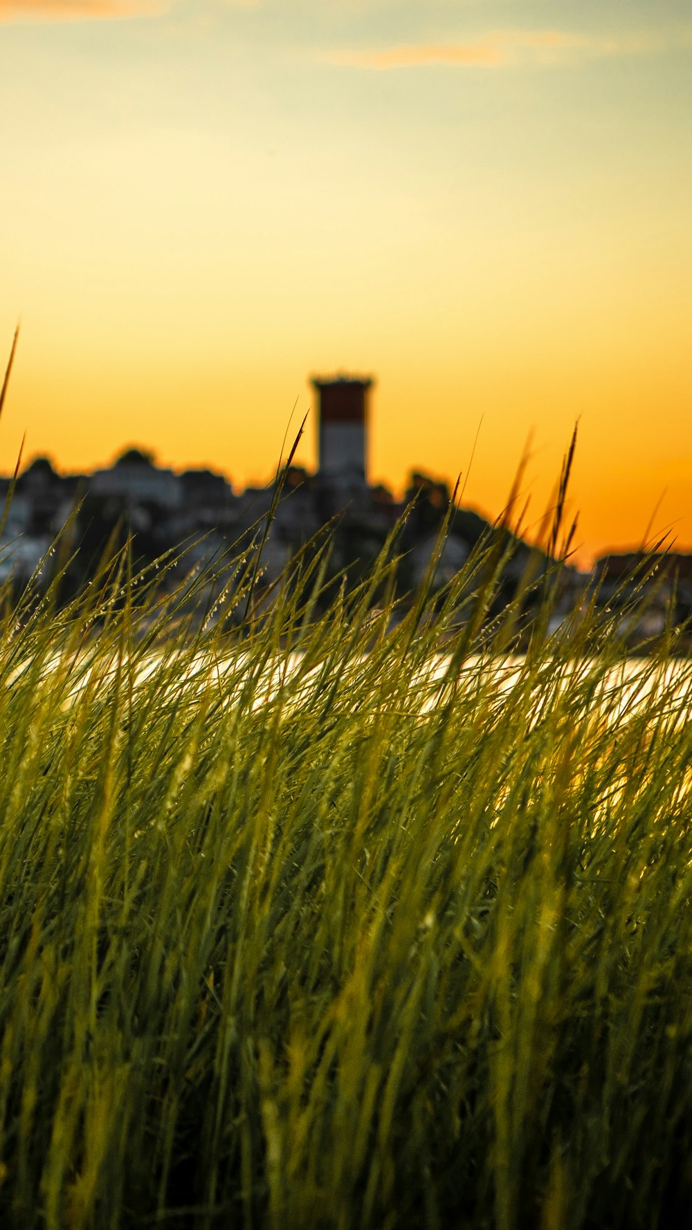 a grassy field with a tower in the distance