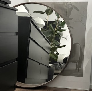 A modern interior setting with a large, round mirror reflecting a dresser with sleek black drawers and a tall green plant. A white lamp and parts of the room's furniture are visible in the reflection, creating a subtle and calm atmosphere.
