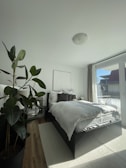 A bright bedroom with clean lines, white linens, and a touch of greenery.