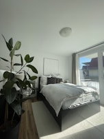 A serene bedroom with crisp white linens and a large green plant in the corner, capturing calm and purity.