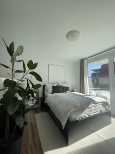 Bright master bedroom with large windows and plush bedding.