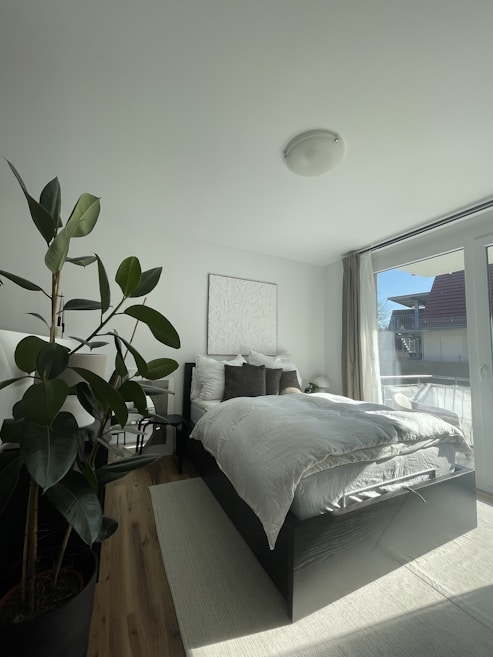 A bright and modern bedroom with a large bed dressed in white linens and multiple pillows. To the left, there's a tall green plant in a black pot. The room has a wooden floor and a large window, allowing natural light to illuminate the space, and a view of a house roof and blue sky outside. A white rug is placed under the bed.