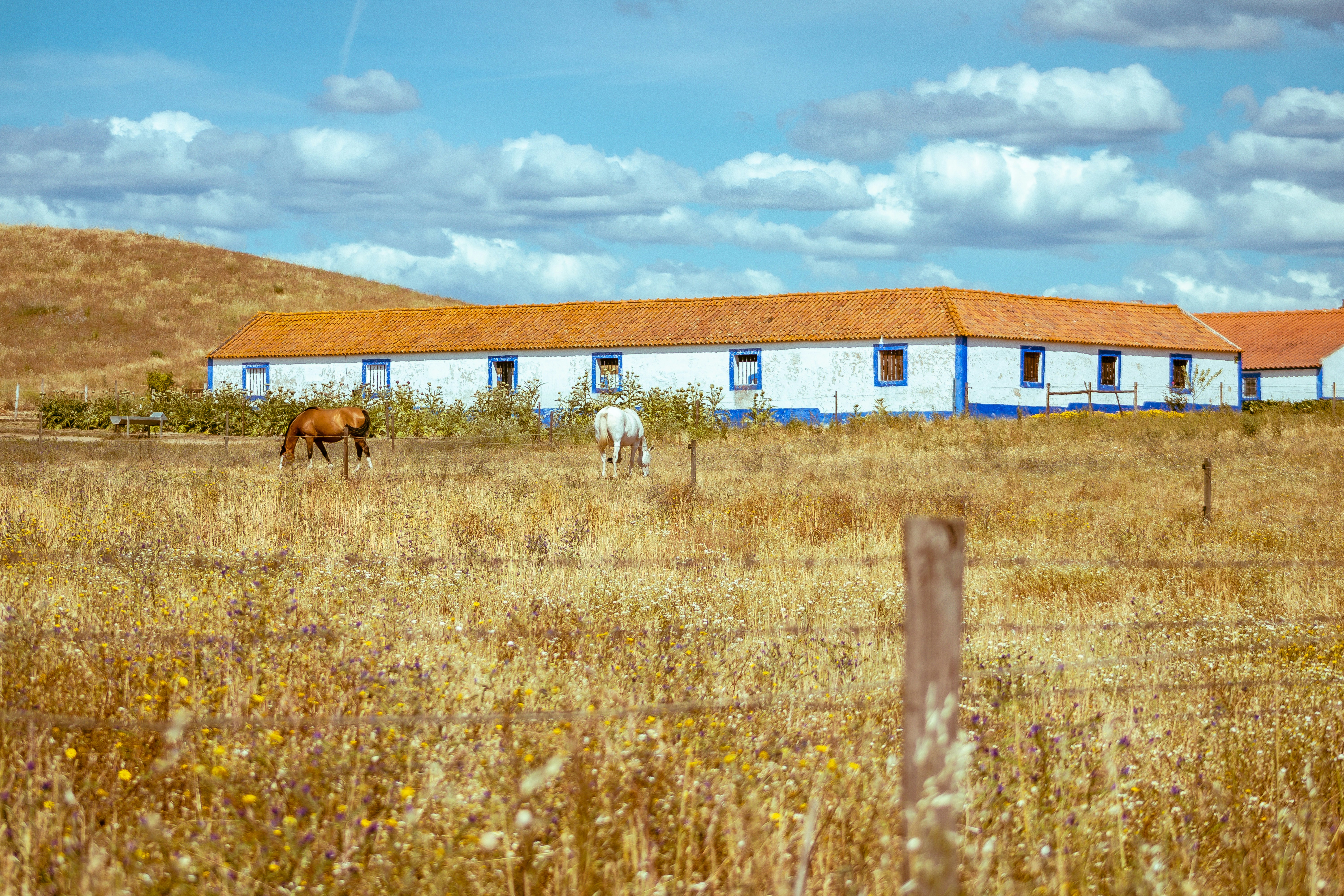 Exploring Alentejo: Unveiling Portugal's Hidden Gem
