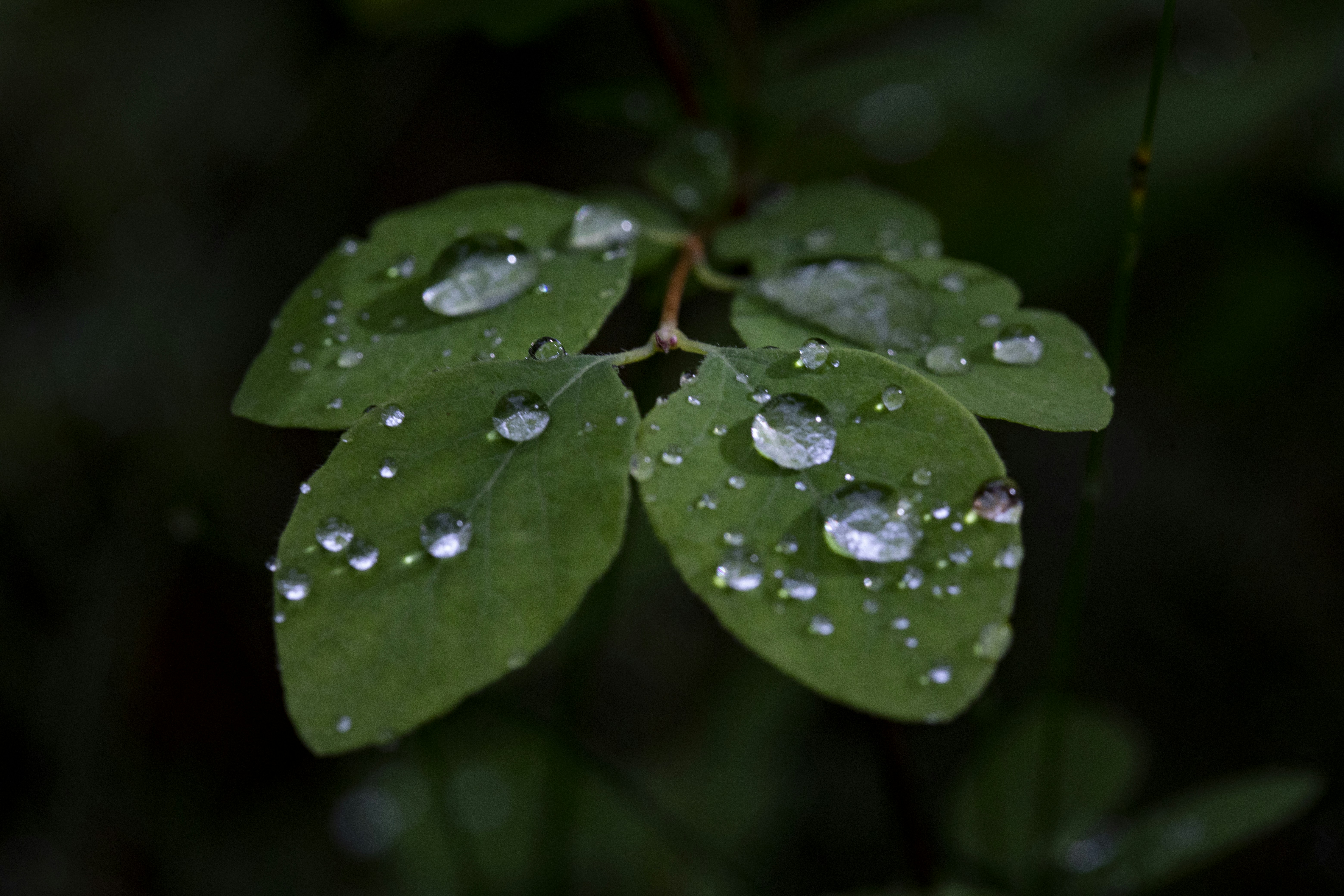 Photo by rocinante_11