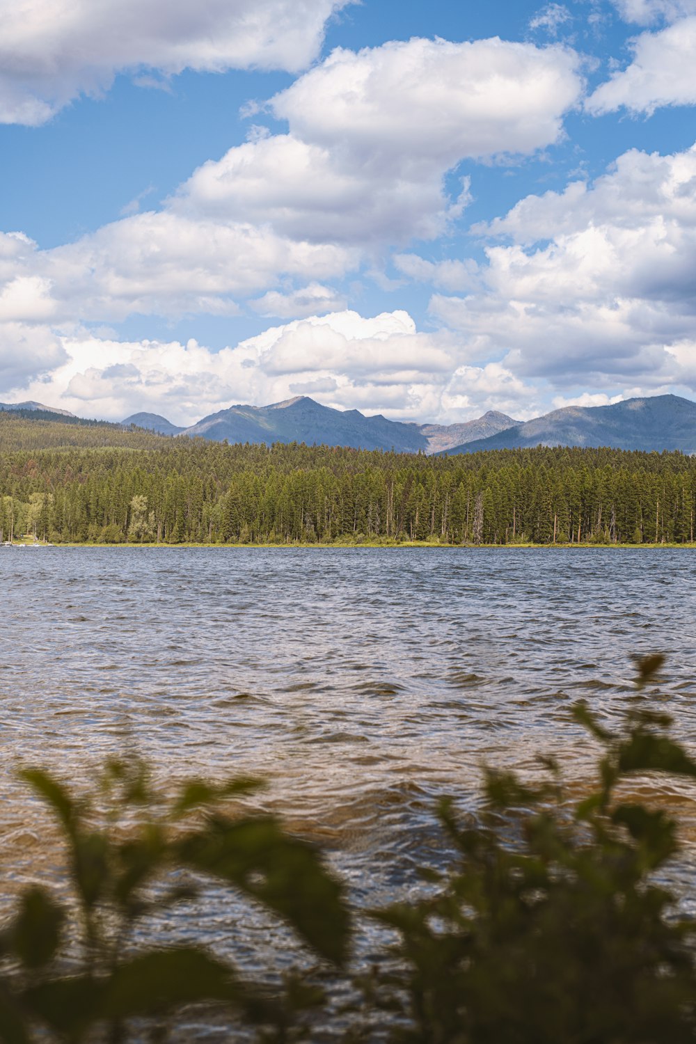 a lake with trees and mountains in the background