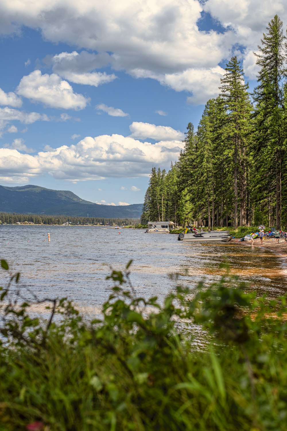 a lake with boats and trees