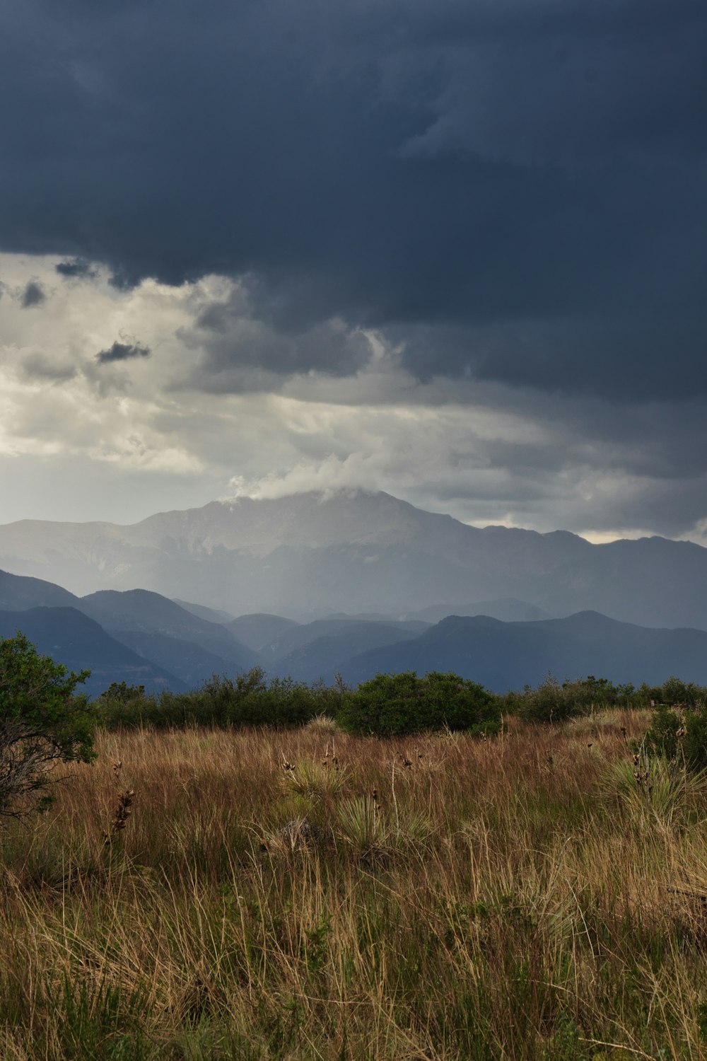 un campo erboso con le montagne sullo sfondo